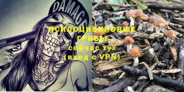 ПСИЛОЦИБИНОВЫЕ ГРИБЫ Абинск