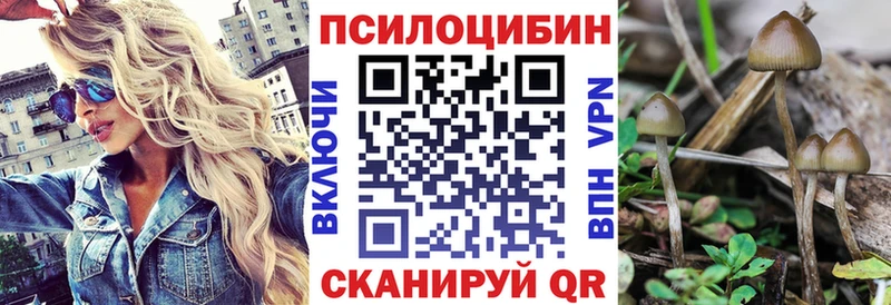 Псилоцибиновые грибы мицелий  хочу наркоту  Ленинградская 